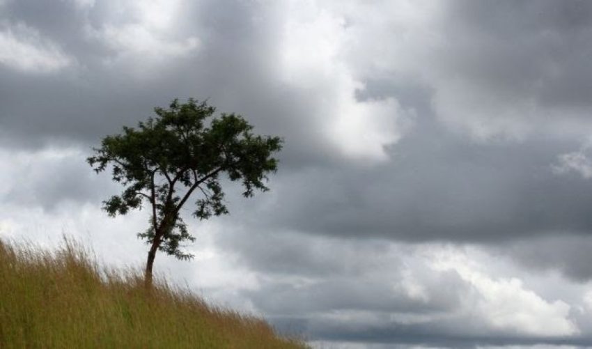 Moti sot i vranët dhe vende-vende me riga shiu