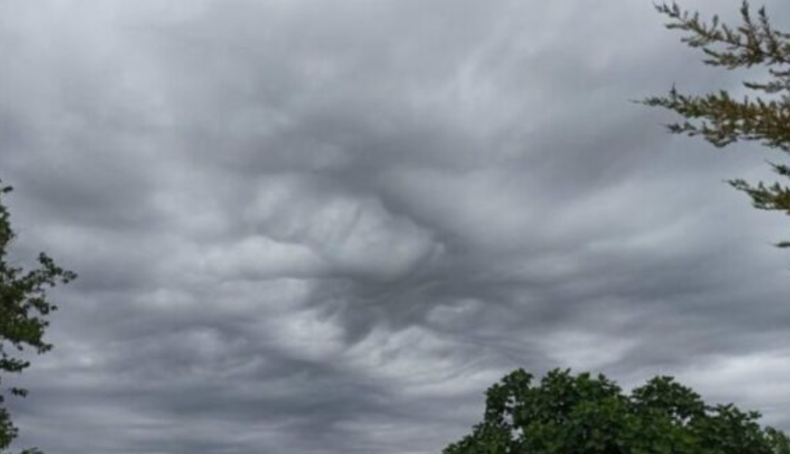 Moti për javën e ardhshme