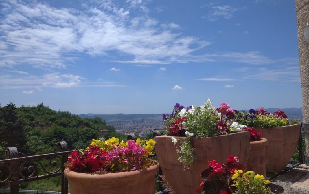 Shqipëri, parashikimi i motit