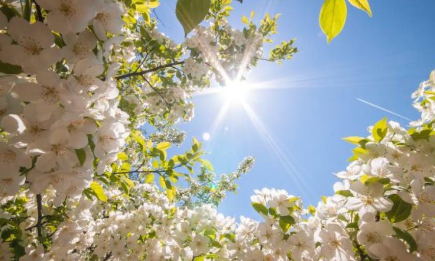 Rritje e lehtë e temperaturave – Ky do të jetë moti për ditën e nesërme