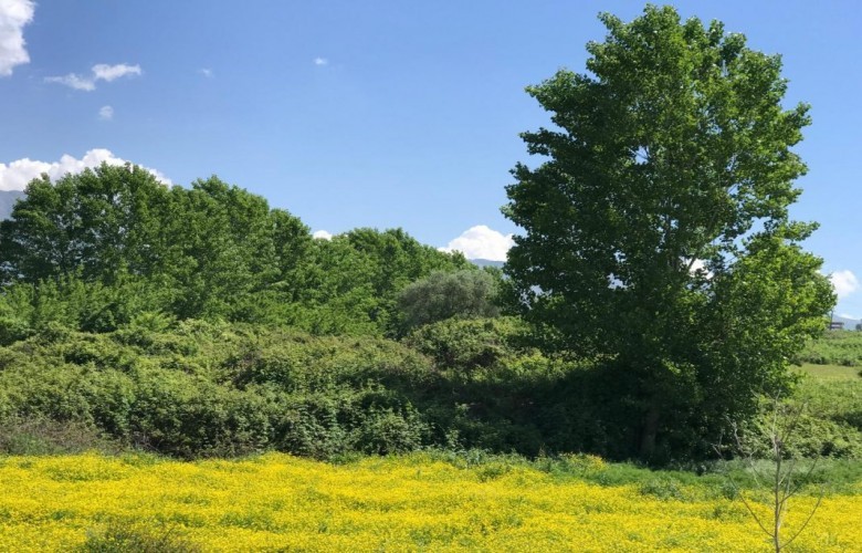 IHMK: Moti me diell dhe reshje lokale shiu