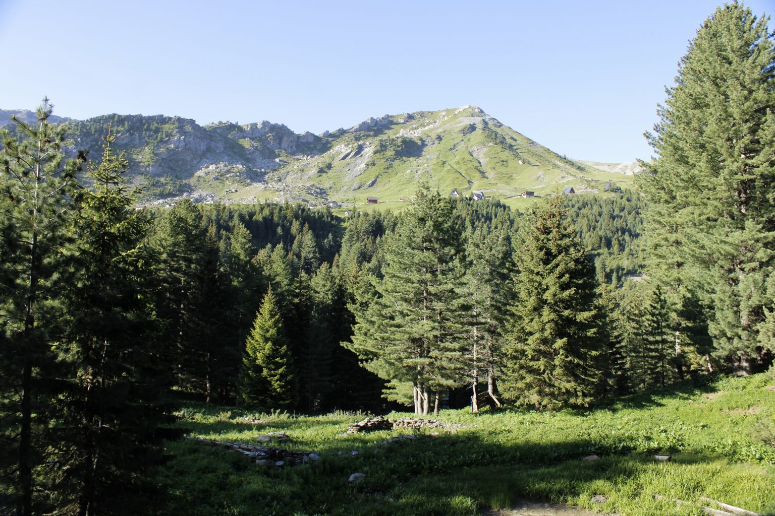 Shqipëri, parashikimi i motit Shqipëri, parashikimi i motit