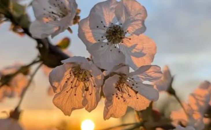 Temperaturat shkojnë nesër deri në 32 gradë Temperaturat shkojnë nesër deri në 32 gradë