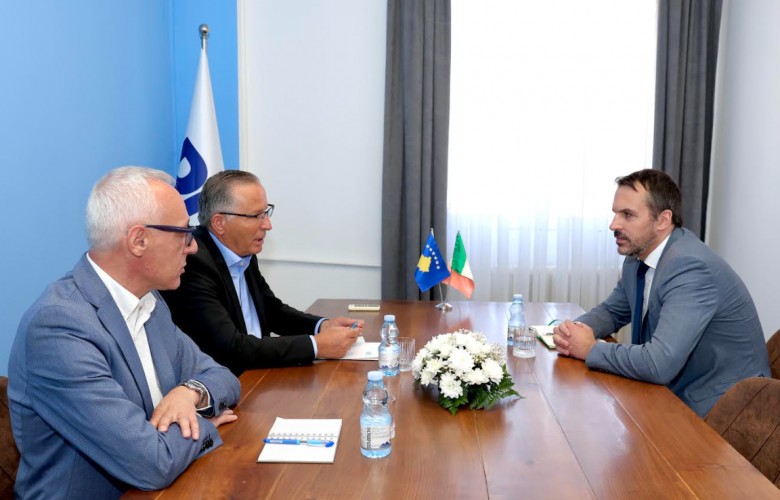 Hamza pret ambasadorin e Irlandës, kërkon institucione të reja Hamza pret ambasadorin e Irlandës, kërkon institucione të reja