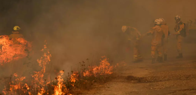 Flakët i afrohen Bordos, situatë e paprecedentë nga zjarret në Francë, vijojnë evakuimet Flakët i afrohen Bordos, situatë e paprecedentë nga zjarret në Francë, vijojnë evakuimet