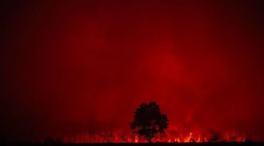 Situata me zjarret në Shqipëri, Ministria e Mbrojtjes: 25 vatra në 24 orë