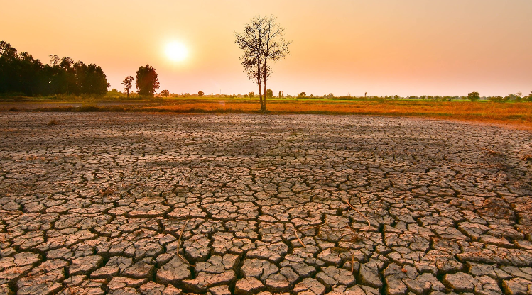 El Niño rekord kërcënon globin, parashikohet që viti 2027 të jetë më i nxehti në histori El Niño rekord kërcënon globin, parashikohet që viti 2027 të jetë më i nxehti në histori