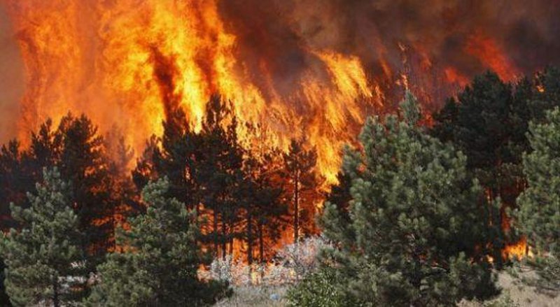 GREQI – Dy viktima dhe mbi 300 të evakuar pas zjarreve në Salamina