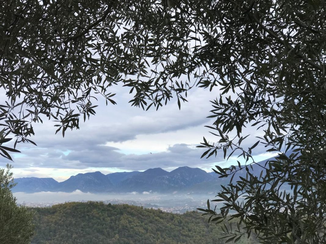 Shqipëri, parashikimi i motit Shqipëri, parashikimi i motit
