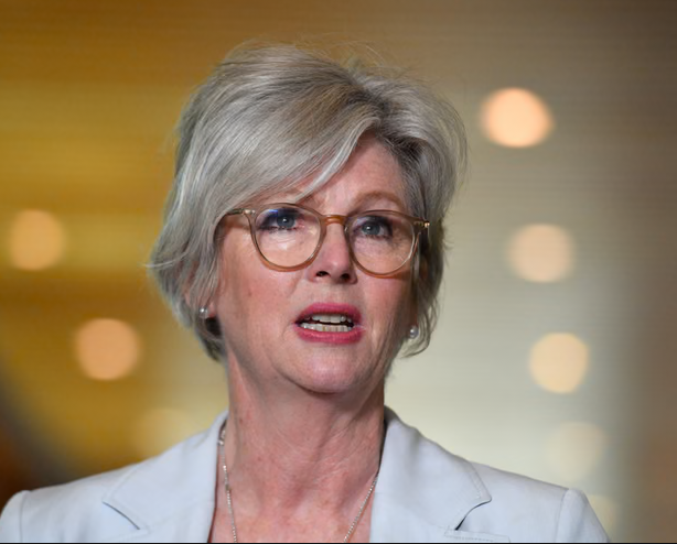 Sulmi me makinë, deputetja australiane humb njërën këmbë, mjekët në luftë për të shpëtuar tjetrën Sulmi me makinë, deputetja australiane humb njërën këmbë, mjekët në luftë për të shpëtuar tjetrën