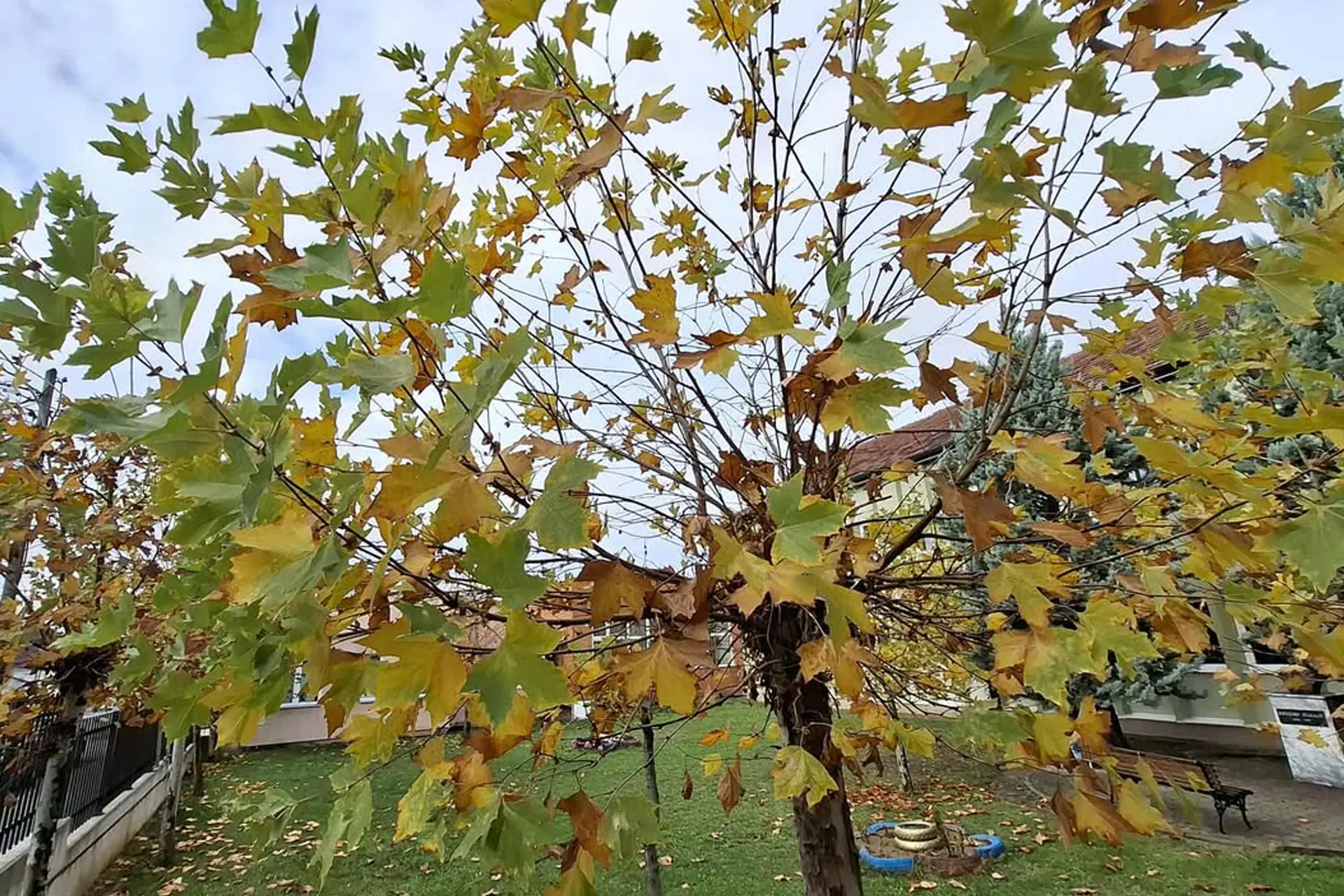 Moti sot me diell dhe vranësira të shpërndara
